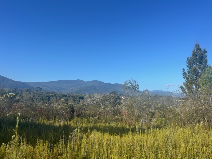 Commercial Property for Sale in Plettenberg Bay Rural Western Cape